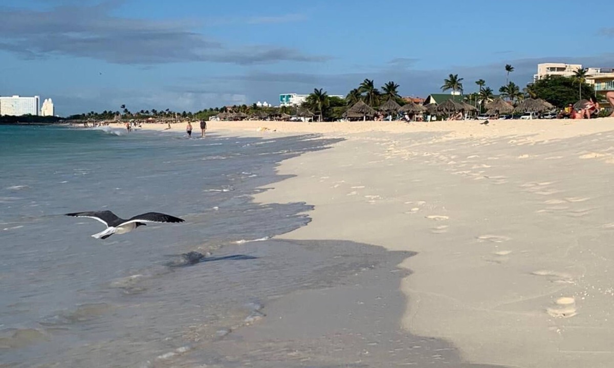 Rancho Condo | 5min walk to second best beach in the world rated by the plantd 2023 Eagle beach