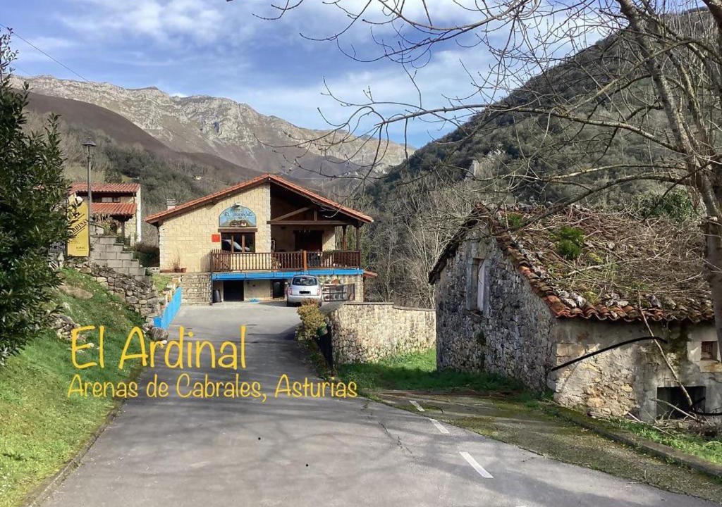 Arenas de Cabrales Apartment | Apartamentos El Ardinal