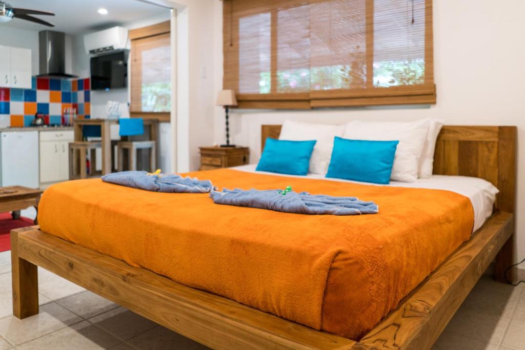 Noord House | Cas Elizabeth