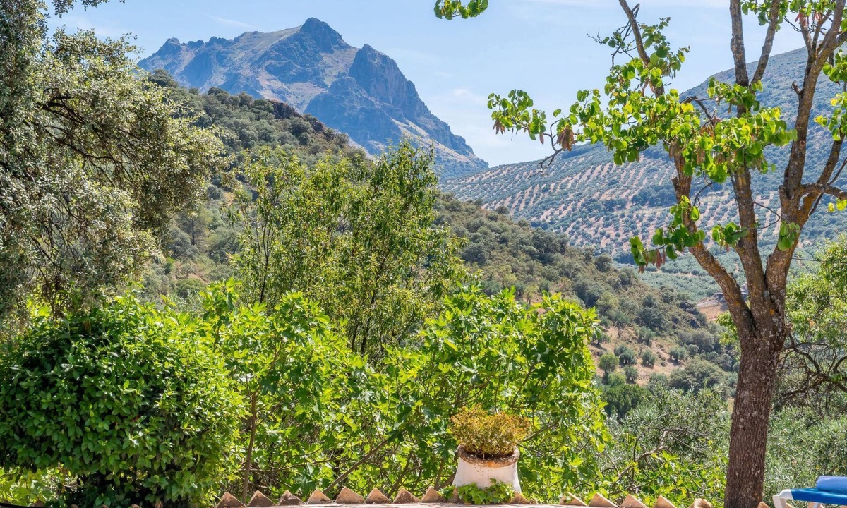 Priego de Cordoba House | Cerro de la Cruz,charmantes Bauernhaus mit bester Aussicht,im Zentrum Andalusie by Interhome
