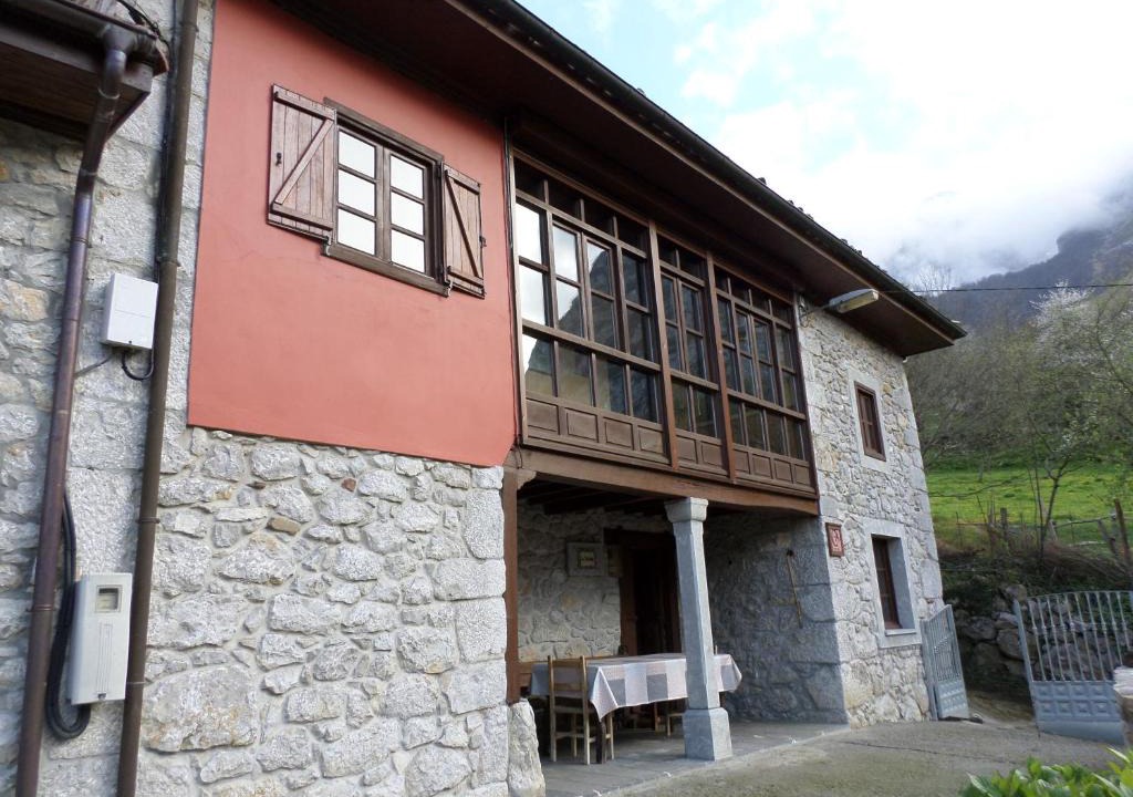 Ponga House | La Tanda