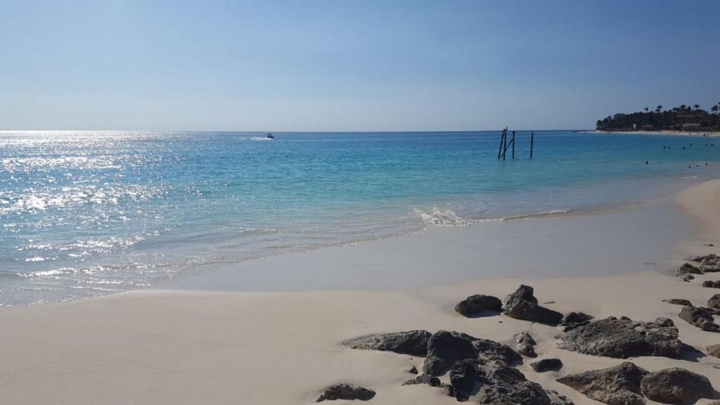 Pos Chiquito Apartment | Ocean Front Property - Villa 1 Aruba