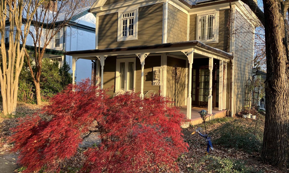 Charlottesville House | Solar, 2 BR, 1 Bath, UVa, Preston, Downtown