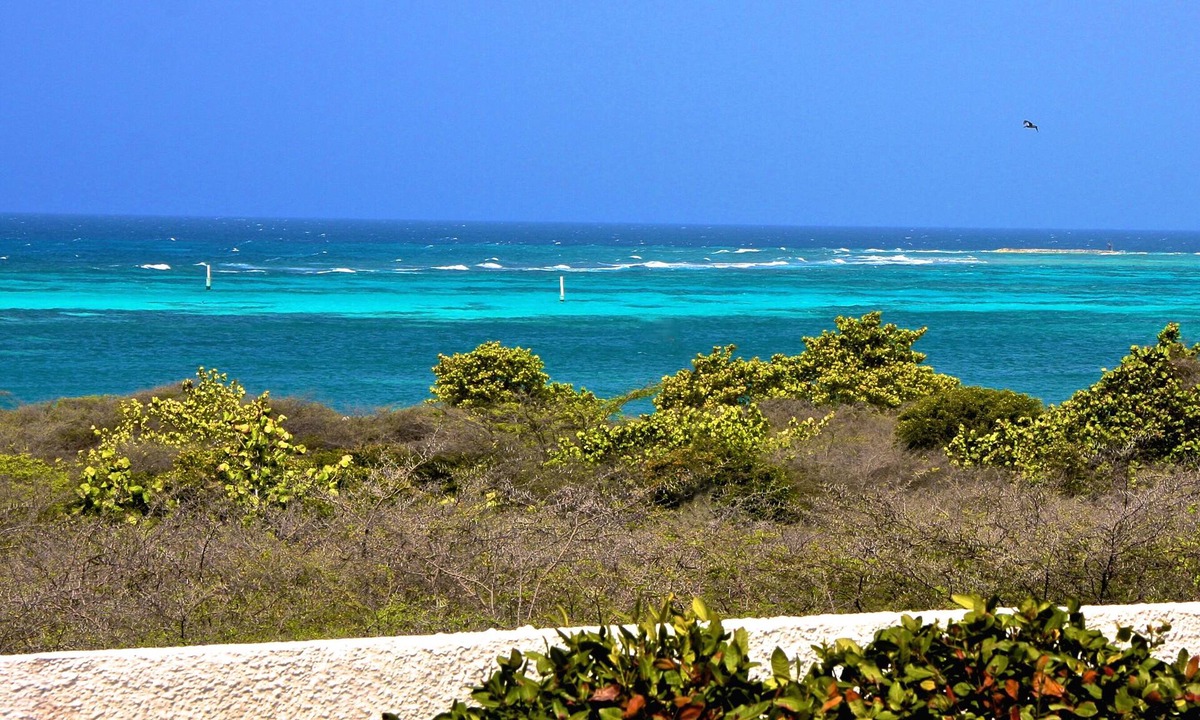 Sero Colorado House | The Famous Baby Beach Vacation Home in Aruba!