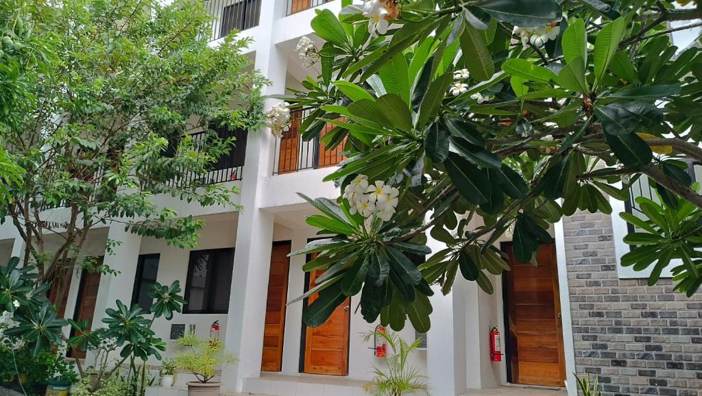 Muntinlupa Hotel | The Palines Apartment Hotel - Muntinlupa Near Evia