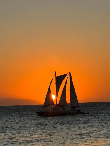 Pearl Aruba | Oranjestad-West