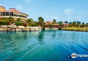 Divi Village Golf and Beach Resort
