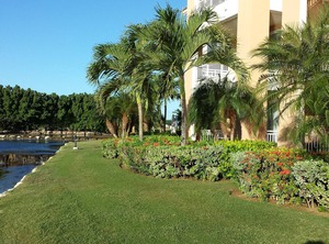 Divi | Oranjestad-West