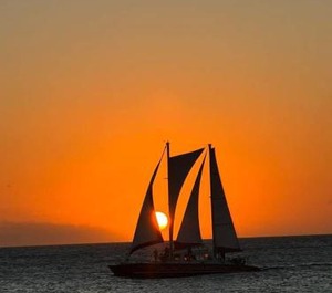 Pearl Aruba 