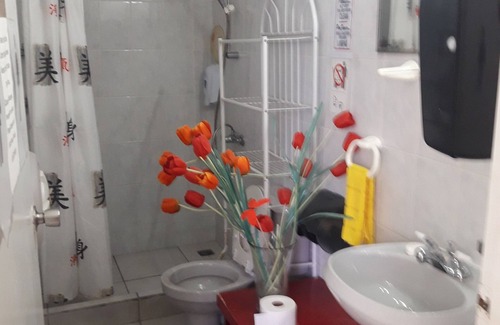 Ponton Hostel | Palmita Hotel Hostel