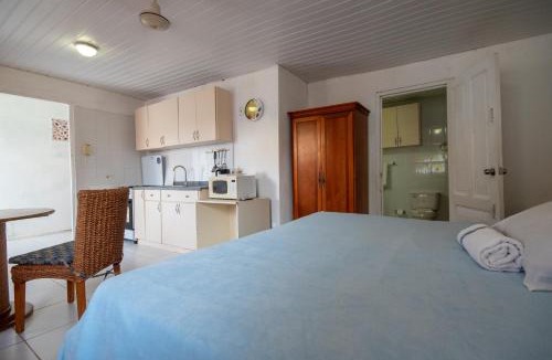 Sero Colorado Apartment | Aruba Sunrise Studio Near Baby Beach, San Nicolas