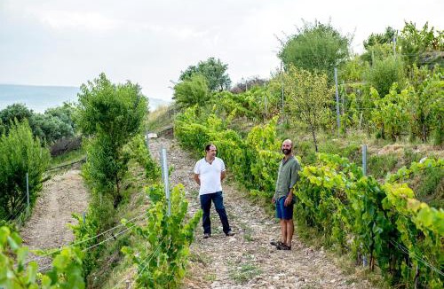 Lapuebla de Labarca House | Casa Pichon Etxea con Degustación vinos Muro