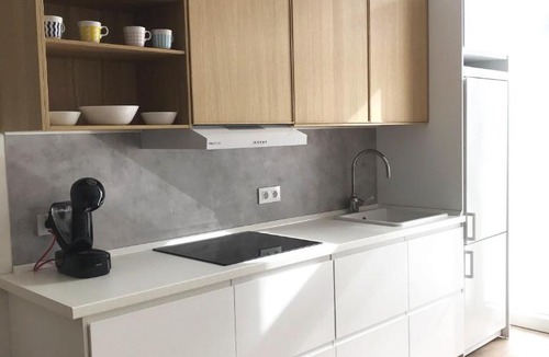 Cabezon de la Sal Apartment | Coniferas