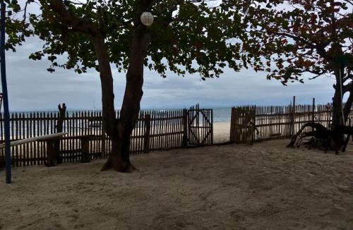 Daanbantayan Hotel | Crisols Beach resort Malapascua Island