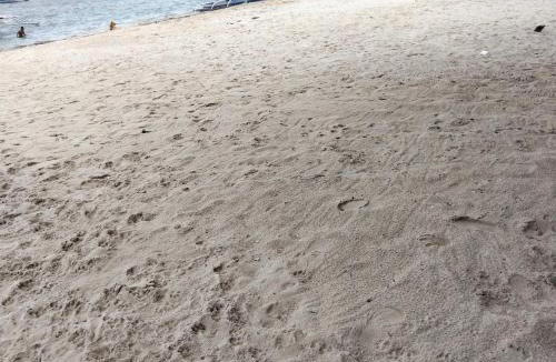 Daanbantayan Hotel | Crisols Beach resort Malapascua Island