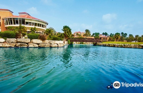 Oranjestad-West Hotel | Divi Village Golf and Beach Resort