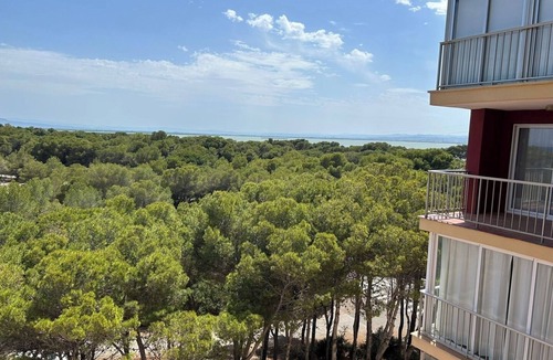 El Saler Apartment | Elegant apartment with pool in El Saler