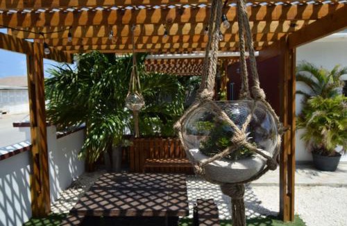 Noord Apartment | Ladybugs Apartments