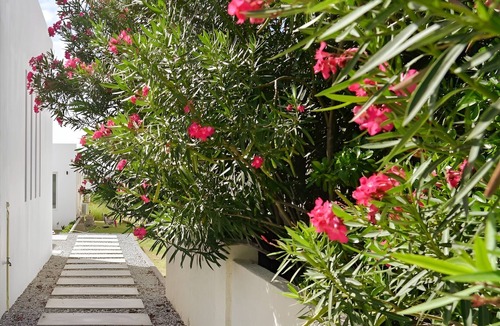 Malmok Apartment | Large, Modern apartment with pool in exclusive Malmok/Arashi area, near beach.