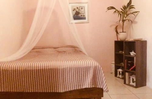 Savaneta House | Magical Garden