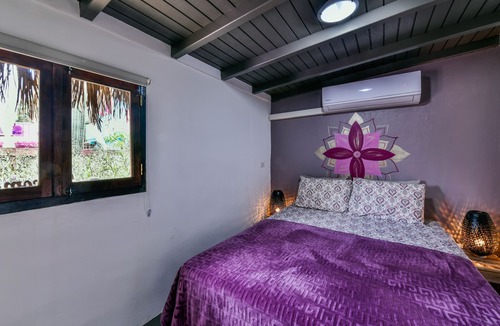 Santa Cruz Bed & Breakfast | Mammaloe's Lavender