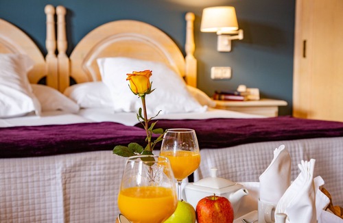 Colloto Hotel | Palacio de la Viñona