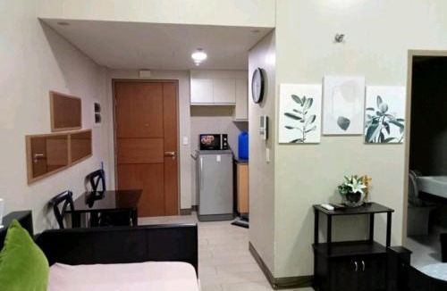 Pasay Apartment | Palm Tree Villas 2