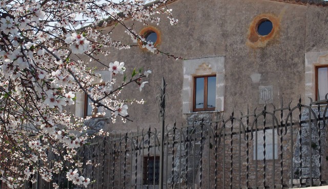 Accommodation in a winery, surrounded by biodynamic vineyards!