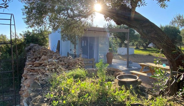 Alba Studio