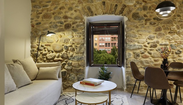 Apartamento de una Habitación Vistas al río Onyar