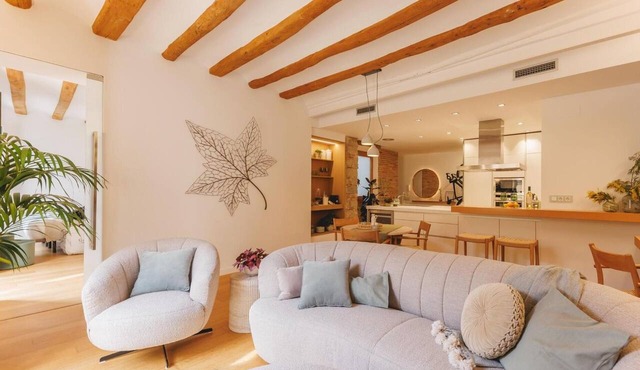 Bravissimo La Joia del Barri Vell, elegant apartment in Girona’s old town