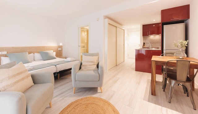 Bravissimo Plaça Catalunya 1-2, studio apartment