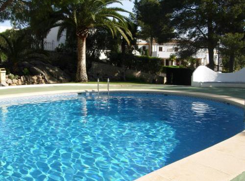Buganvilla