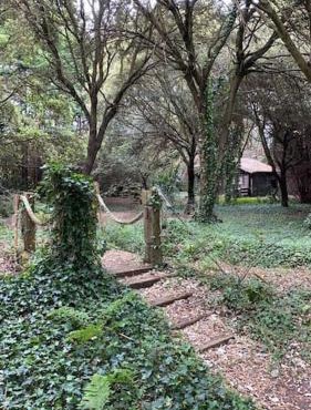 Cabaña de ensueño en el bosque y junto al mar