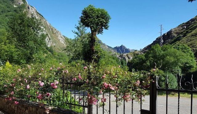 Casa Modesta Apartments for 2 people
