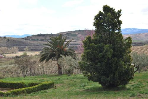 Casa Pichon Etxea con Degustación vinos Muro