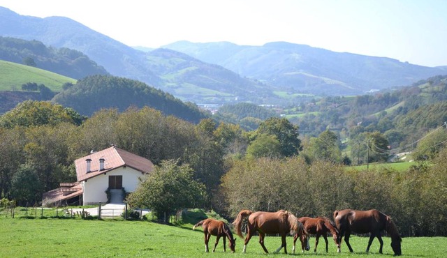 CASA RURAL Arriaran