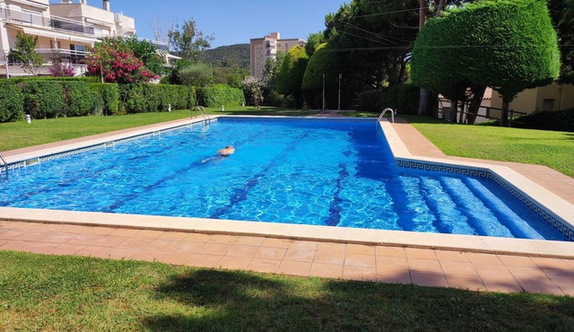 Central apartment, renovated, very quiet family residence, large swimming pool