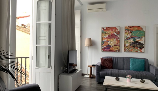 Charming 1 BR Apartment in Málaga Historical Center, WIFI and balconies (4p)