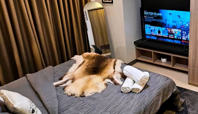 Chic 2BR End Unit with King Bed, Fast Wi-fi FREE Parking~Mall of Asia
