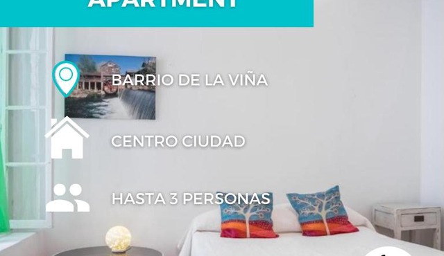 El Camerino del Falla Basic Ha Apartment