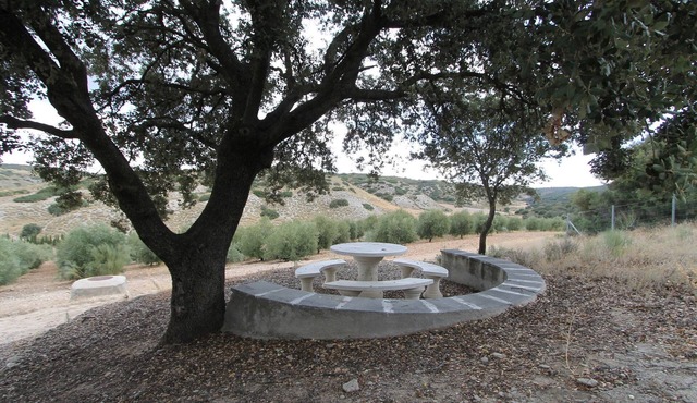 Finca Casa Rural Victoria near Madrid and Warner Park. Max Capacity 24