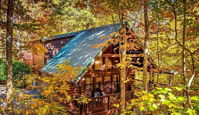 ★Gray Fox Den★ Secluded 3BR Theater, Hot Tub, Arcade Near Smokys/Downtown