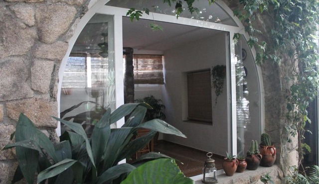 Hedera in Candeleda