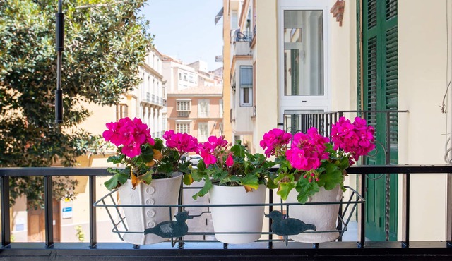 Historic center with terrace, close to La Malagueta beach
