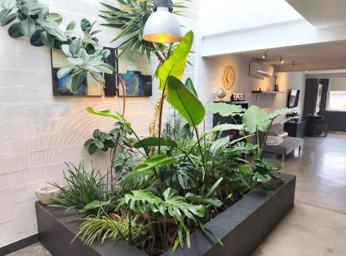 loft CARRASKETA