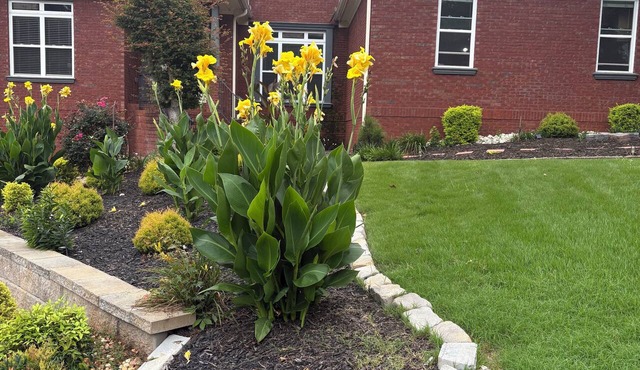 Main level access = 2 BR, 2 private baths, and much more. Wheelchair accessible. in Braselton