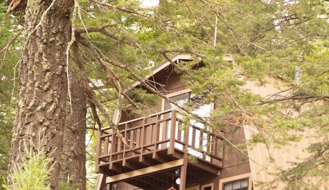 Modified A Frame Cabin.King bed. Only mins. from Ski Cloudcroft and the village. in Cloudcroft