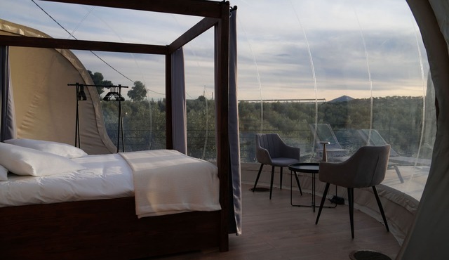 Panoramic Suites