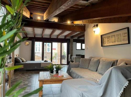 Penthouse with two terraces near the sea